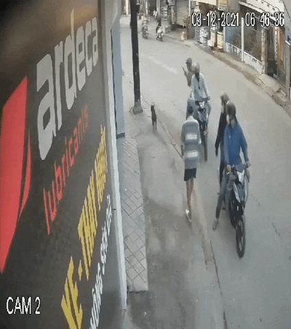 cuteanimalland giphyupload GIF