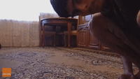 Man Does Two-Finger Push-Ups With His Feet on a Table