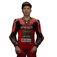 Alvaro Bautista Ok Sticker by WorldSBK