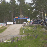 Racing Rallying GIF by FIA European Rally Championship