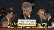 news impeachment impeachment inquiry william taylor impeachment hearing GIF