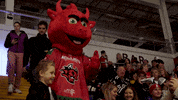 Ice Hockey GIF by Cardiff Devils