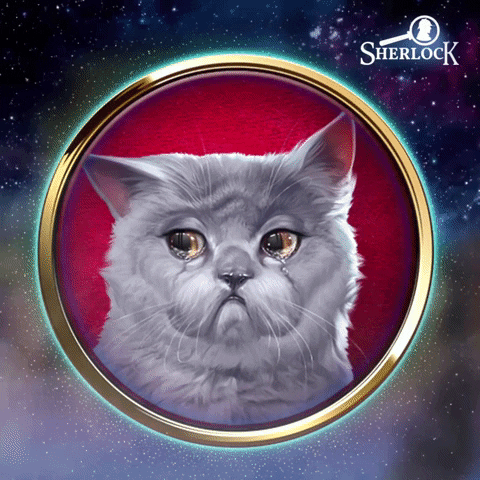 Sad Cat GIF by G5 games