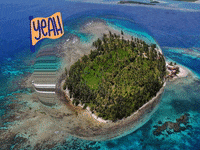 You Can Wow GIF by FranchiseONE.de