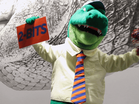StandUpAndHoller giphyupload uf university of florida go gators GIF
