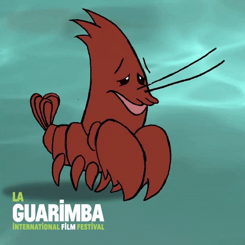 Shock Reaction GIF by La Guarimba Film Festival