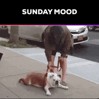 Lazy Sunday GIF by Suze Perlov