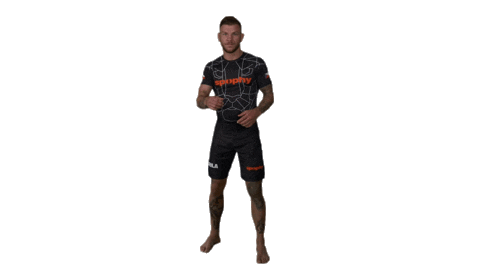 Mma Fighter Sticker by Rehasport
