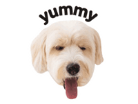 헨로포우 Sticker by henlopaw.official