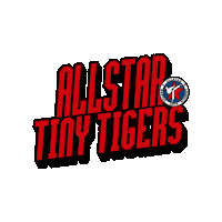 Martial Arts Taekwondo Sticker by AllstarMartialArtsAcademy