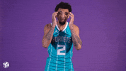 Basketball Omg GIF by Charlotte Hornets