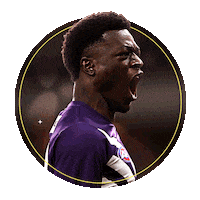 Australian Football League Reaction Sticker by AFL