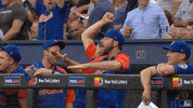 Excited GIF by New York Mets