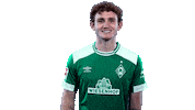 football bundesliga Sticker by SV Werder Bremen