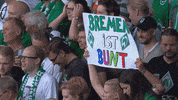 bundesliga fans GIF by SV Werder Bremen