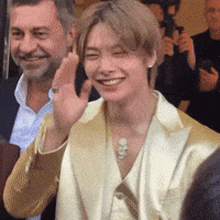 Stray Kids Skz GIF