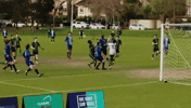 Ocsc GIF by Oldcamberwellsc