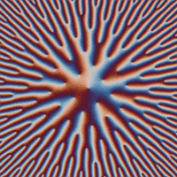 Math Art GIF by Clayton Shonkwiler