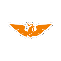 VeronicaDelgadilloG mc movimiento ciudadano movimiento naranja Sticker