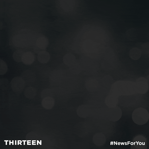 GIF by ThirteenWNET