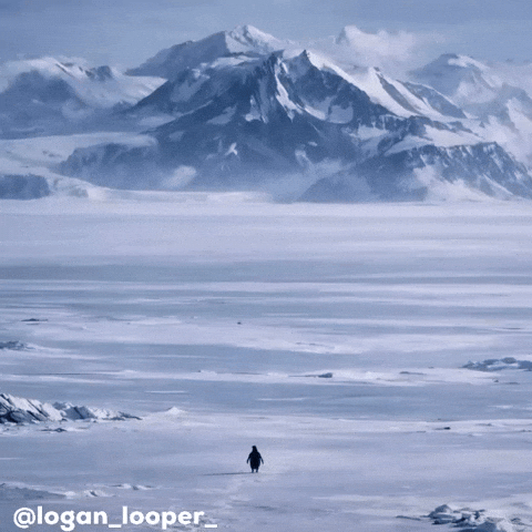 Penguin Explore GIF