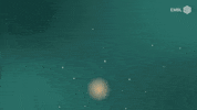 European Molecular Biology Laboratory GIF by EMBL