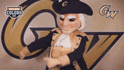 Happy College Sports GIF by College Colors Day