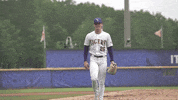 Baton Rouge Baseball GIF by LSU Tigers