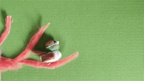 maylisg-kdan giphygifmaker cria learning how to fly cria online GIF