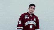 ncaasports hockey college ncaa ice GIF