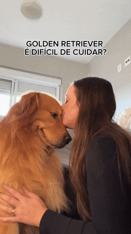 cuteanimalland giphyupload GIF