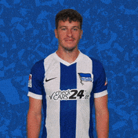 Demme GIF by Hertha BSC