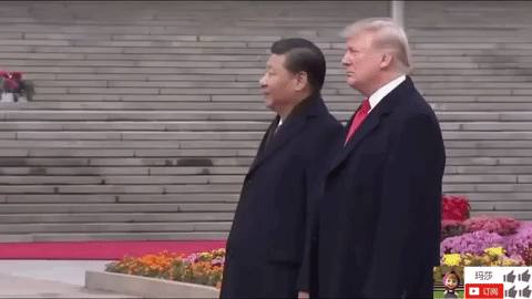 zheng zhi GIF