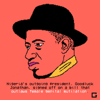 Nigeria GIF by gifnews