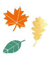 Fall Autumn Sticker by Amazon