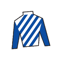 Horse Racing Sticker by Kentucky Derby