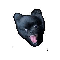 Wilmade dog halloween angry black Sticker