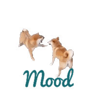 Shiba Inu Fight Sticker