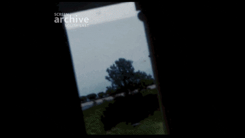 AishaBenG giphyupload GIF