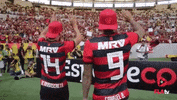st nrn GIF by Flamengo