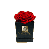 matthewsluxuryconcepts athens matthews athina yourgif Sticker