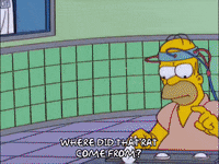 watching homer simpson GIF