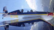 redbullracing france 2019 f1 french GIF