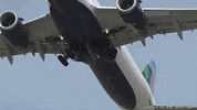 jetbluetechventures  GIF