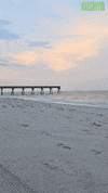 Beach Ocean GIF by Kushy Dreams