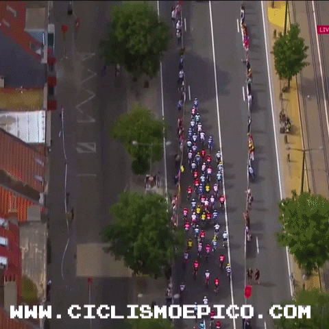 ciclismoepico giphygifmaker sports sport cycling GIF