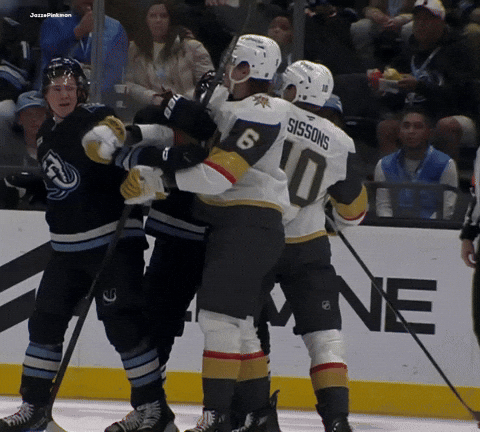 Vegas Golden Knights Punch GIF