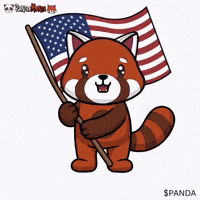 World Cup Usa GIF by PandaMania