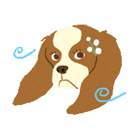Pretty Sticker