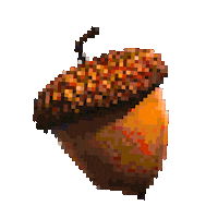 Acorn Hunter Boots Sticker by Hunter